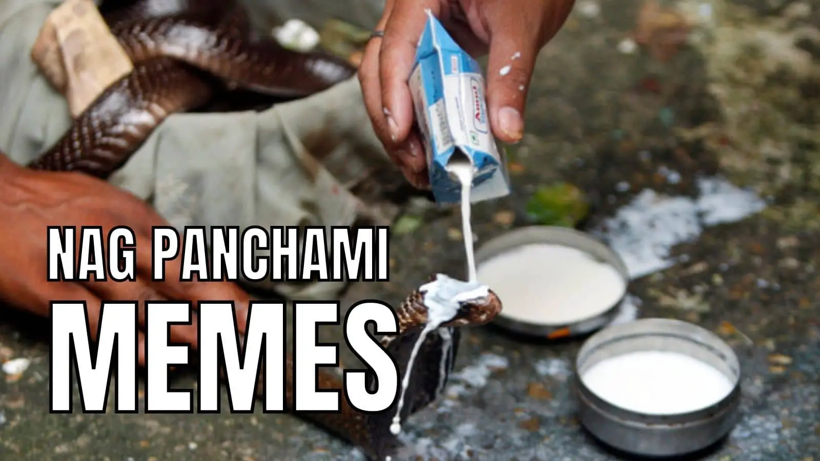 Nag Panchami Memes and Jokes on Snakes
