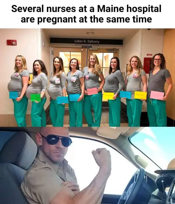 Several nurses at a Maine hospital Are Pregnant Meme