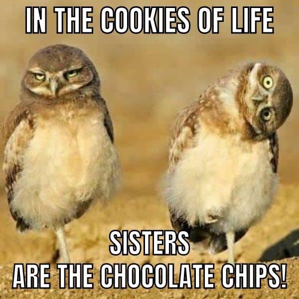 Sisters Are The Chocolate Chips Meme