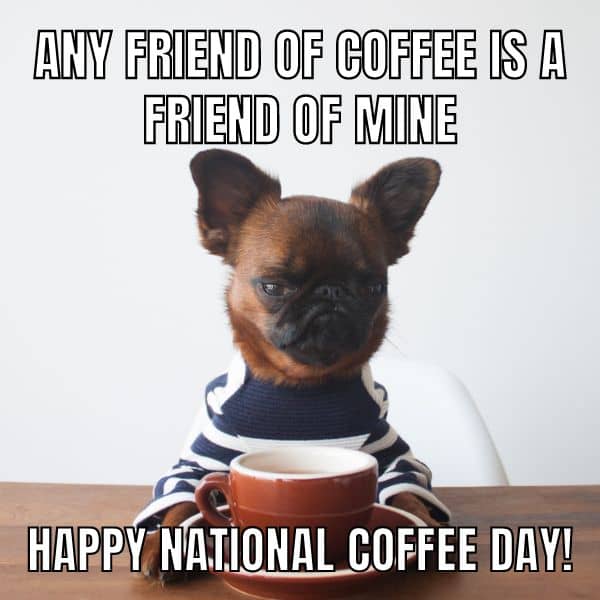 Angry Dog Meme on Coffee Day