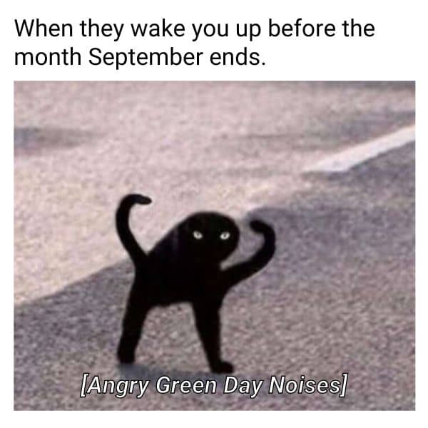 Dont Wake Me Up Before September Ends Meme on Green Day Band