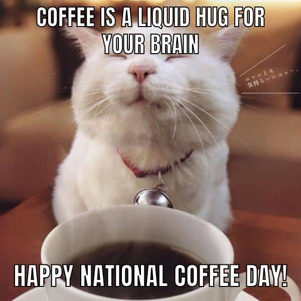 Funny National Coffee Day Meme On Kitten