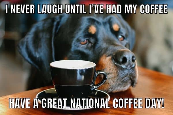 Funny National Coffee Day Meme On Sad Dog