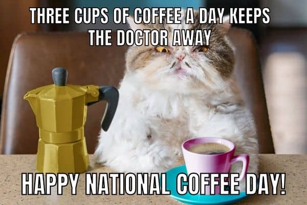 Happy National Coffee Day Meme on Cat