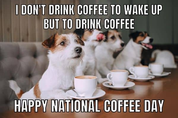 Happy National Coffee Day Meme on Dogs