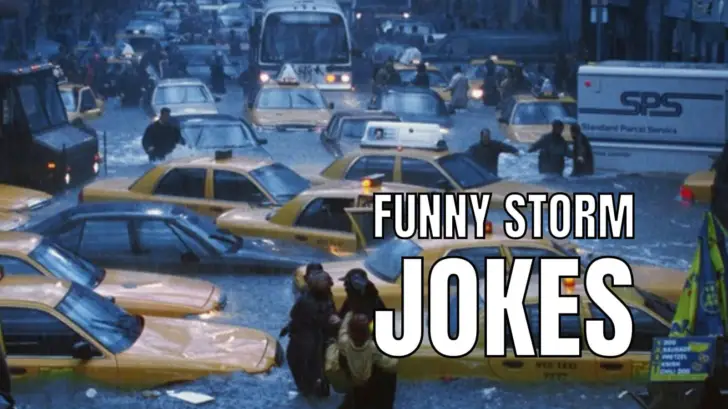 60 Storm Jokes When It's Raining Cats & Dogs - HumorNama