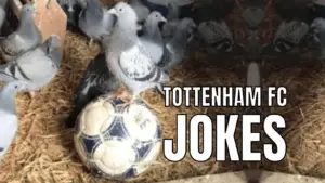 Tottenham Jokes About Spurs
