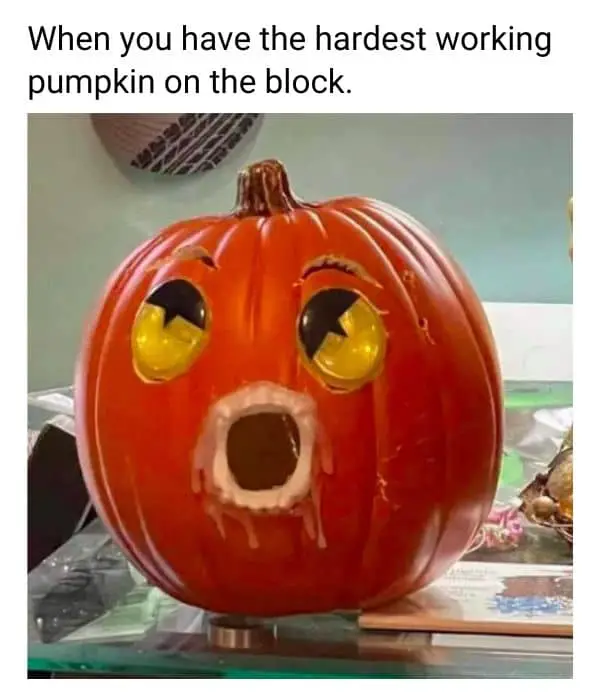 Dirty Halloween Pumpkin Meme on Cum