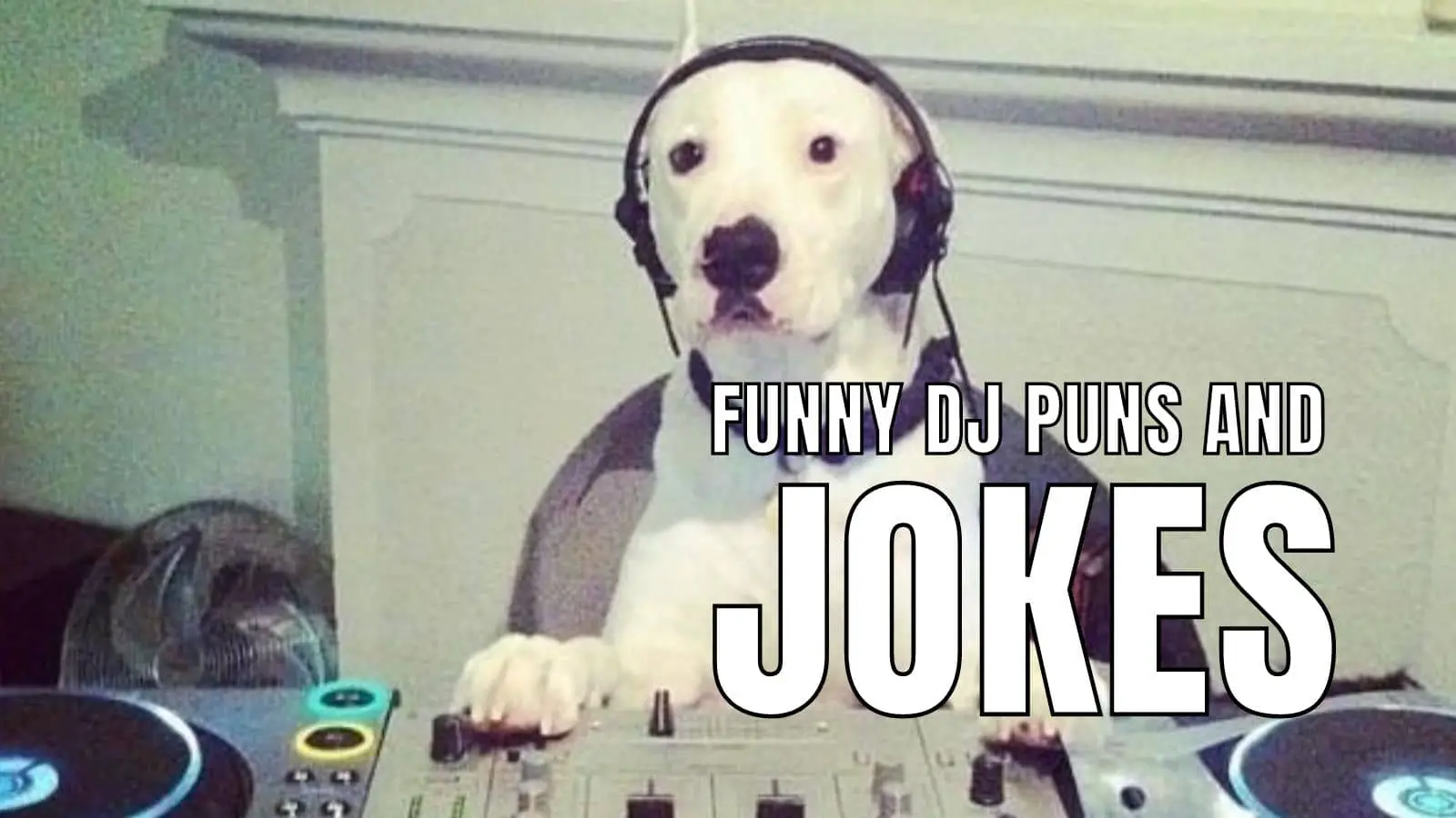 Funny DJ Jokes on Music
