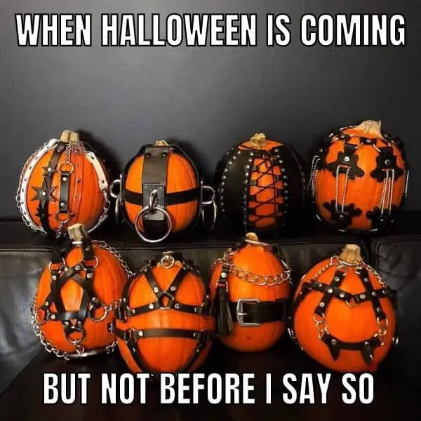 Halloween BSDM Meme