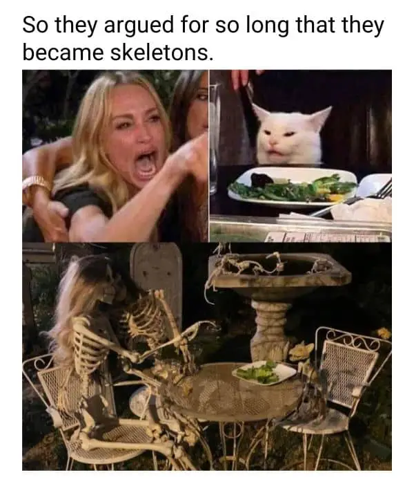 Halloween Clean Meme on Woman Yelling at a Cat