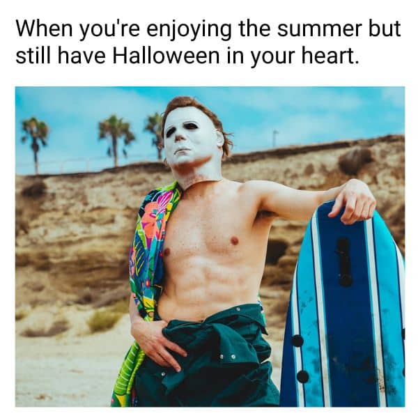 Michael Myers Meme on Summer