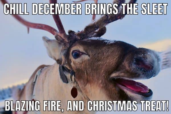 Chill December Meme