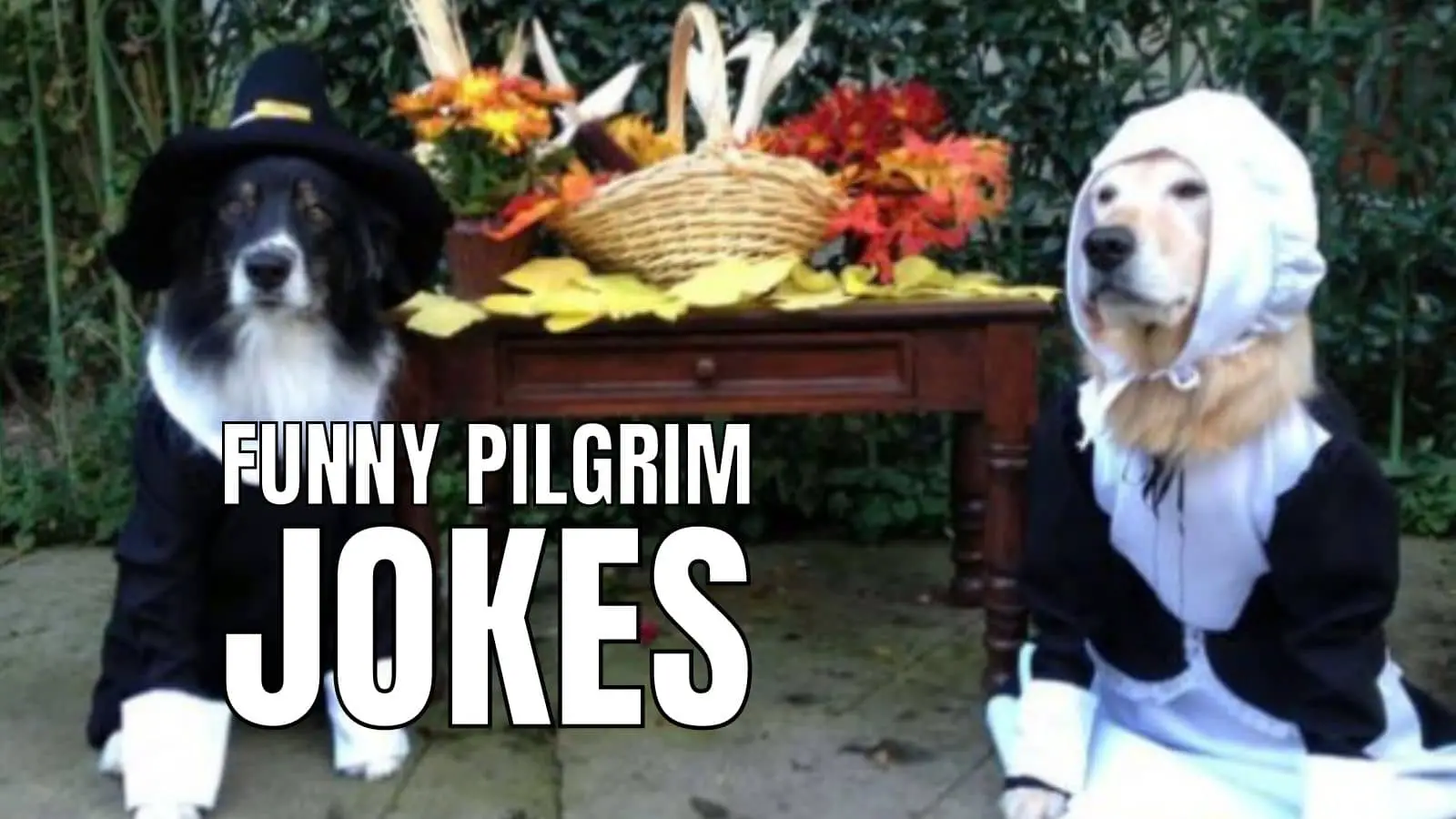 Funny Pilgrim Jokes for Thanksgiving