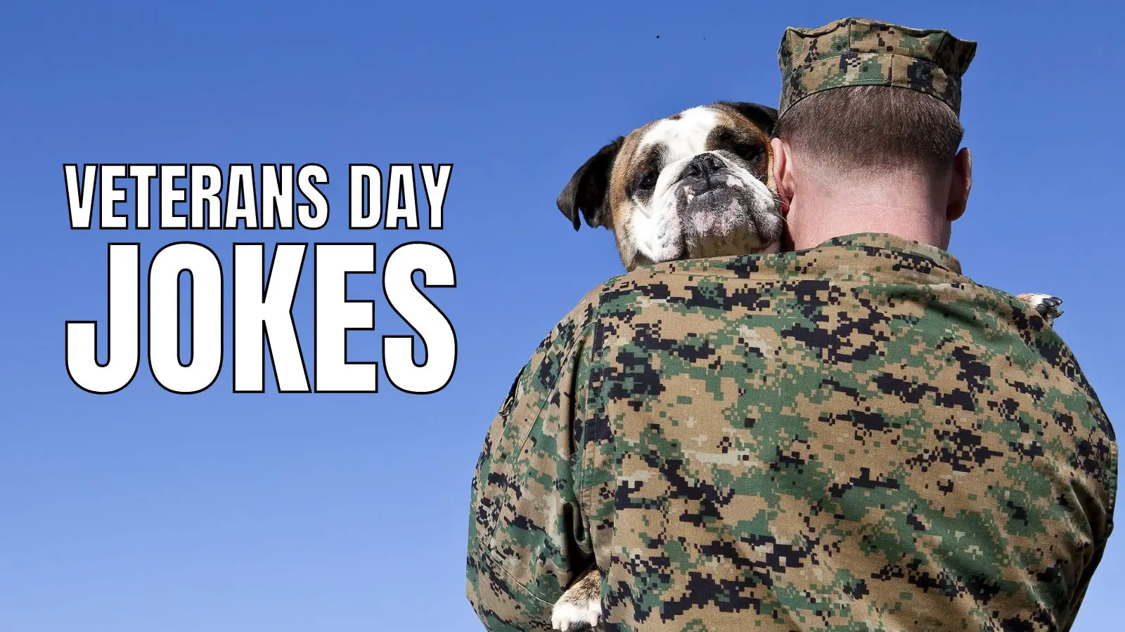Funny Veterans Day Jokes For Military