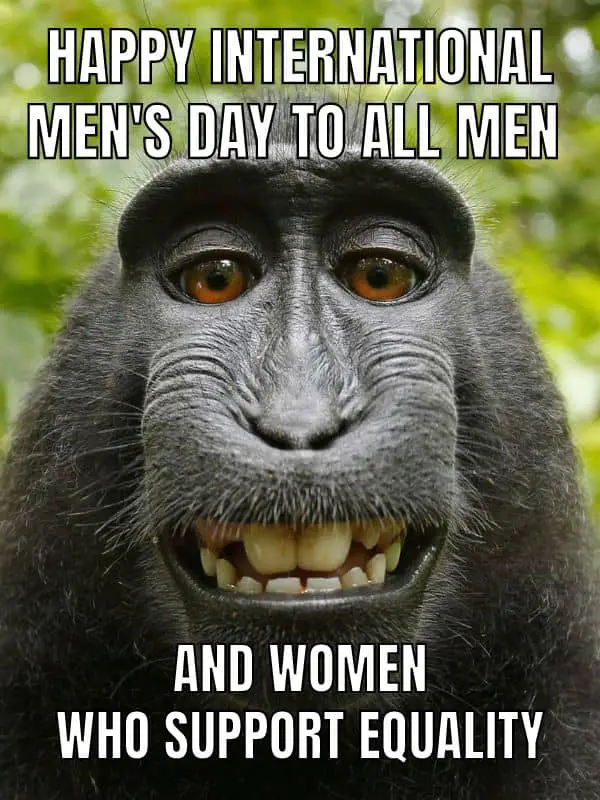 Happy International Men's Day Meme on Equality