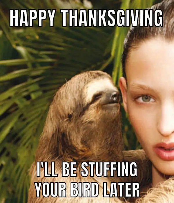 Happy Thanksgiving Meme For Adult