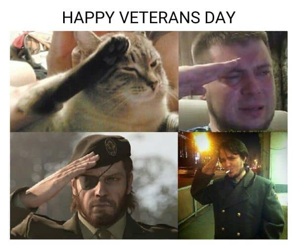 Happy Veterans Day Meme on Salute