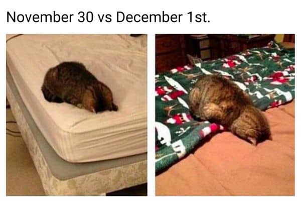 November 30 Vs December 1 Meme