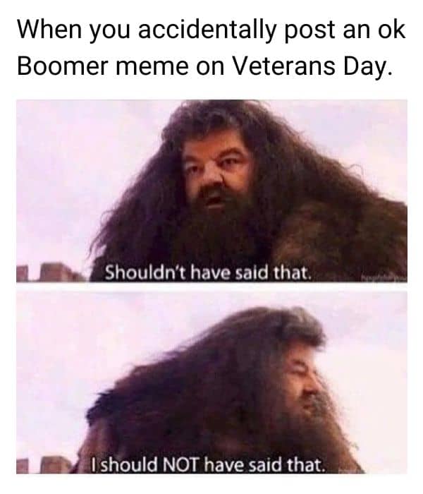 Ok Boomer Meme on Veterans Day