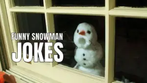 Snowman Jokes & Puns