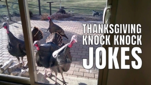 Thanksgiving Knock Knock Jokes For Kids