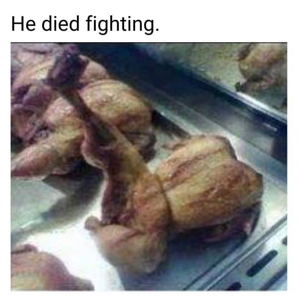 Turkey Died Fighting Meme