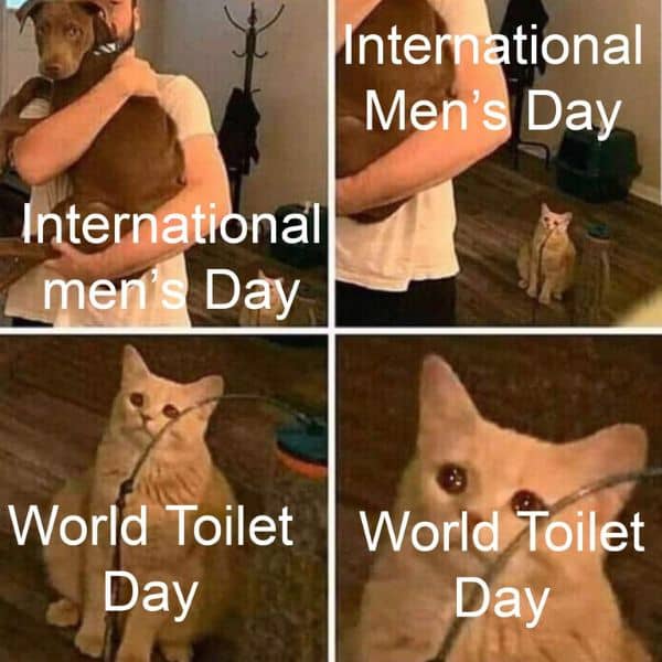 World Toilet Day Meme