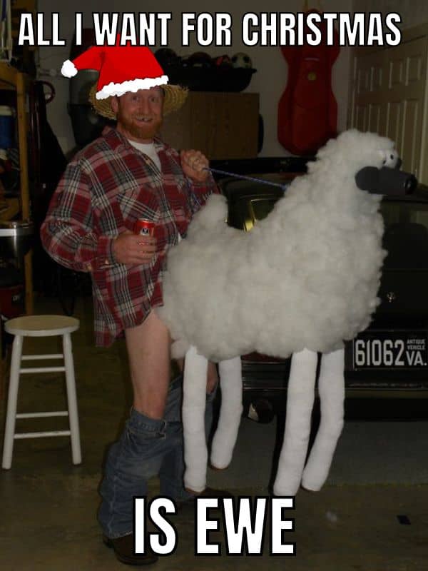 All I want for Christmas is Ewe Meme