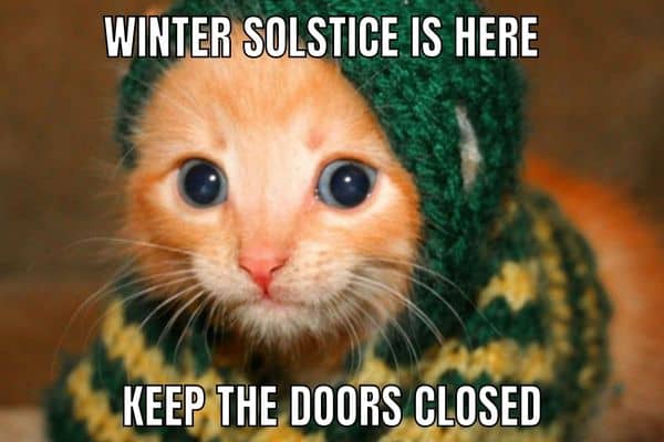 Cute Winter Solstice Meme on Cold Cat
