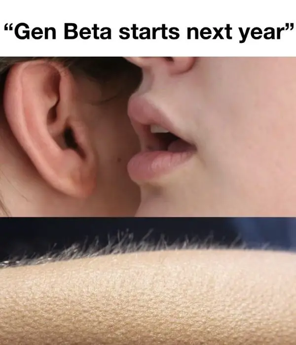 Gen Beta Meme on 2025