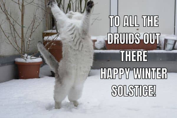 Happy Winter Solstice Meme on Cat