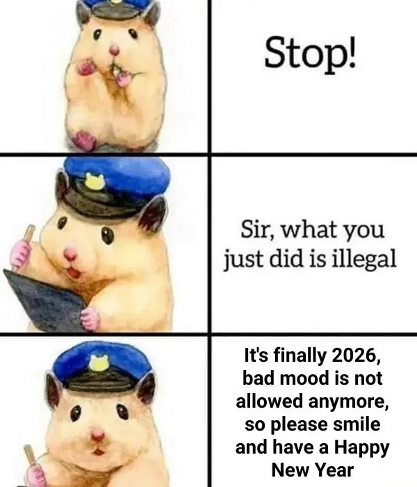 It is Finally 2026 Meme