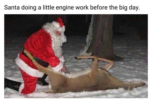 Nasty Christmas Meme on Reindeer