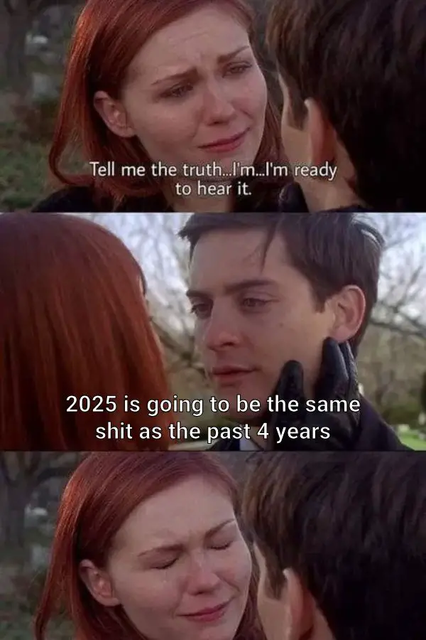 New Year 2025 Meme on Peter Parker