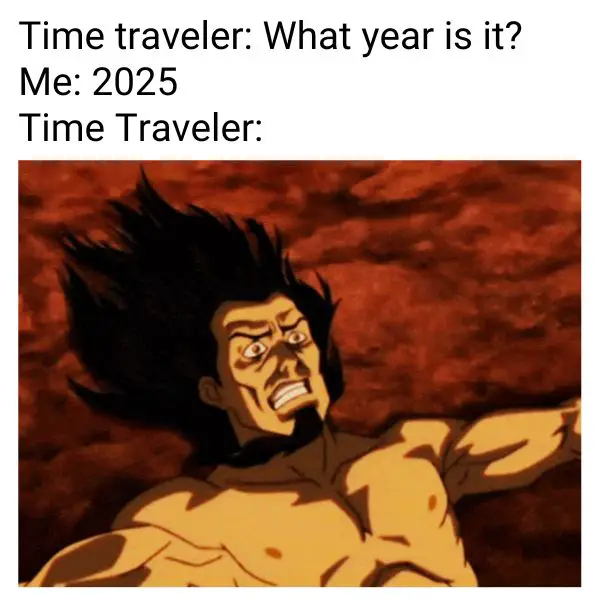 Time Traveler Meme on 2025