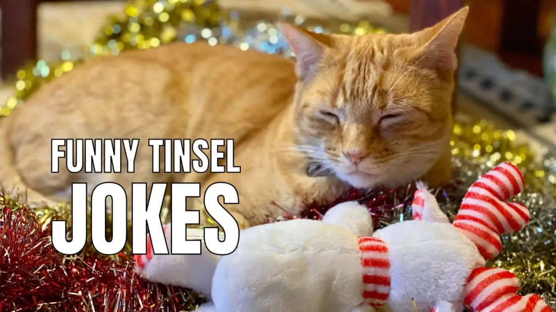 20 Funny Tinsel Jokes & Puns That Will Brighten Your Day