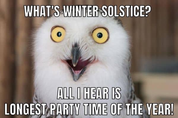 What Is Winter Solstice Meme on Owl