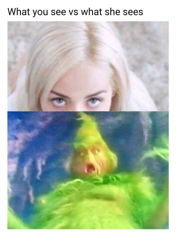 What You See vs What She Sees Meme on Christmas