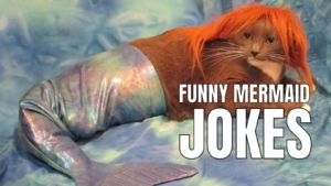 Funny Mermaid Jokes And Puns