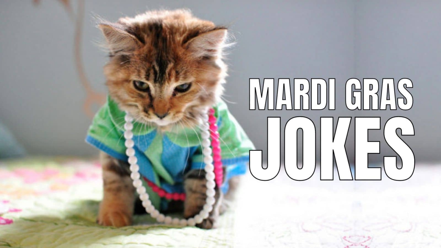 30 Mardi Gras Jokes & Puns To Get You In Carnival Spirit