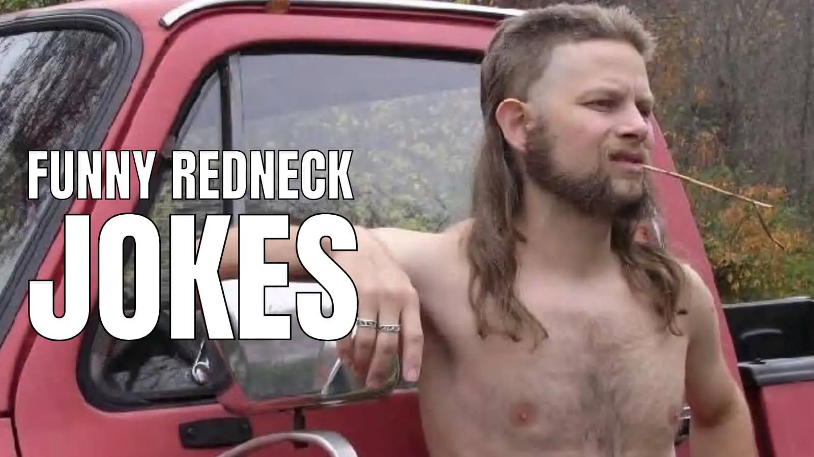 Funny Redneck Jokes and Puns