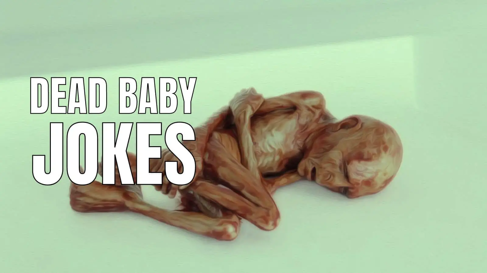 Funny Dead Baby Jokes and Puns