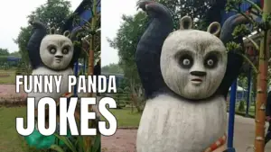 Funny Panda Jokes And Puns