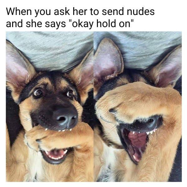 Asking Her To Send Nude Pics Meme