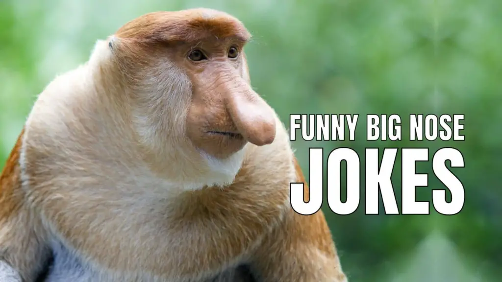 50 Funny Big Nose Jokes That Nose (Knows) No Bounds