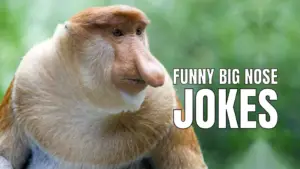 Funny Big Nose Jokes on Monkey