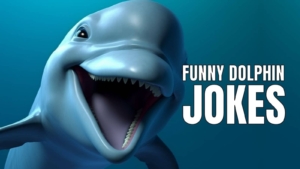 Funny Dolphin Jokes And Puns