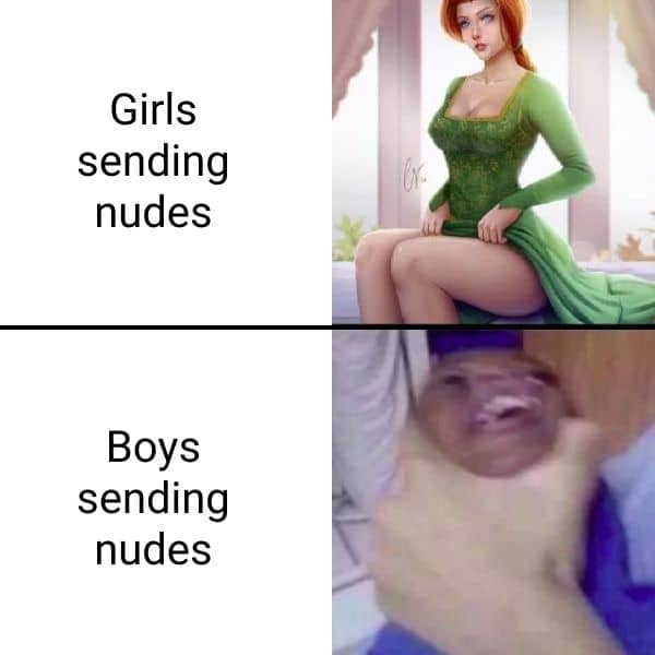 Girls vs Boys Sending Nudes Meme