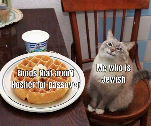 Kosher Meme on Passover